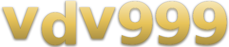 vdv999 logo
